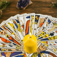 Avenirtel | voyant Benalfa